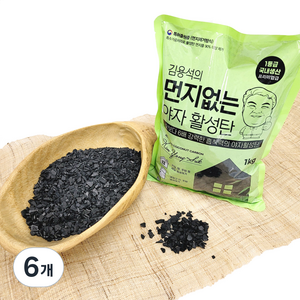 김용석생활연구소 야자활성탄 실내 탈취제 본품, 1kg, 6개