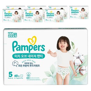 팸퍼스 2025 터치오브네이처 팬티형 기저귀 남여공용, 5단계, 240매