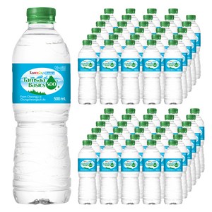 탐사 베이직수, 500ml, 60개