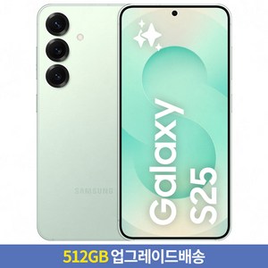 [256GB → 512GB 업그레이드] 갤럭시 S25 자급제 SM-S931N, 민트, 256GB