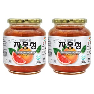 견과공장 자몽청, 950g, 1개입, 2개