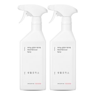 생활공작소 뿌리는 곰팡이 제거제, 750ml, 2개