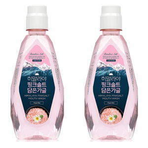 히말라야핑크솔트 죽염 담은 가글 플로럴 민트, 320ml, 2개