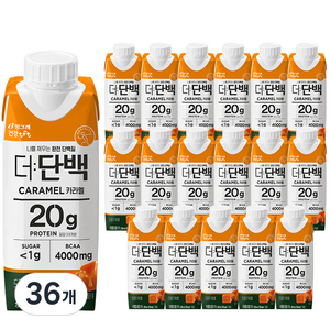 더단백 드링크 카라멜, 250ml, 36개