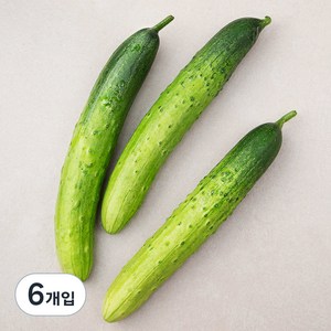 국내산 친환경 오이, 3개입, 2개