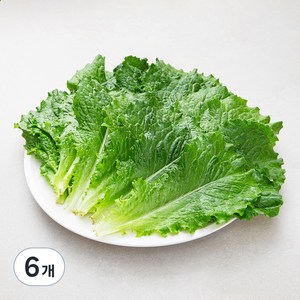 국내산 친환경 청상추, 150g, 6봉