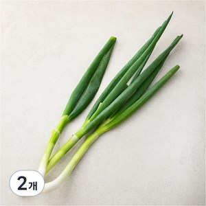 국내산 친환경 중파, 300g, 2개