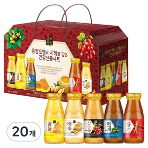 해태htb 몸에좋은 음양오행 건강음료 선물세트, 180ml, 20개