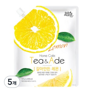 다미즐 갈아만든 레몬, 500g, 5개