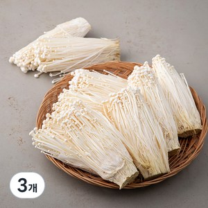 GAP 팽이버섯, 1.5kg, 3개