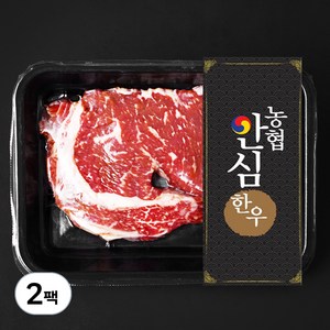 농협안심한우 숙성육 등심 2등급 구이용 (냉장), 200g, 2팩