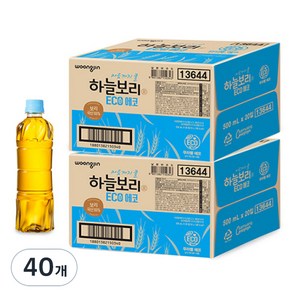 하늘보리 에코 무라벨, 500ml, 40개