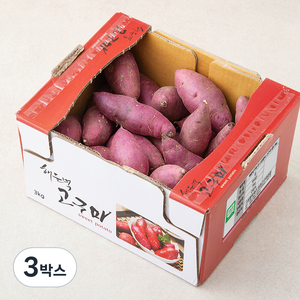 해들녘 무농약 고창황토 고구마, 3kg(중), 3박스