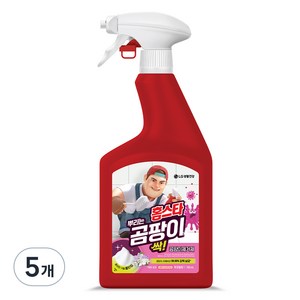 홈스타 뿌리는 곰팡이 싹 후로랄향 세정제, 750ml, 5개
