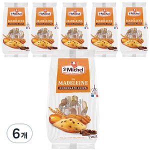 생미쉘 초코칩 마들렝, 250g, 6개