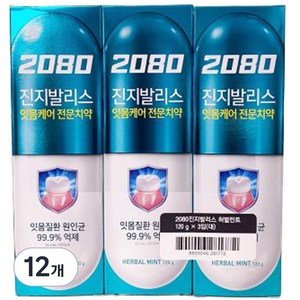 2080 진지발리스 허벌민트향 치약, 120g, 12개