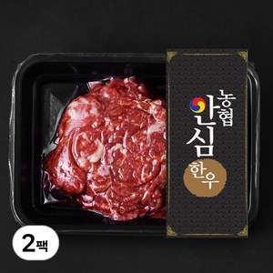 농협안심한우 정육 1등급 불고기용 (냉장), 300g, 2팩