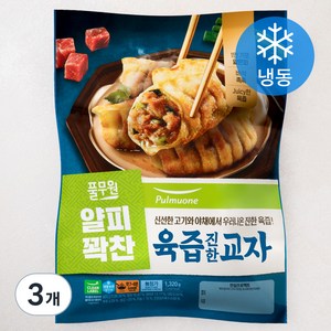 풀무원 얄피꽉찬 육즙 진한 교자 (냉동), 1.32kg, 3개