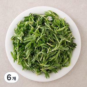 국내산 돌나물, 250g, 6개