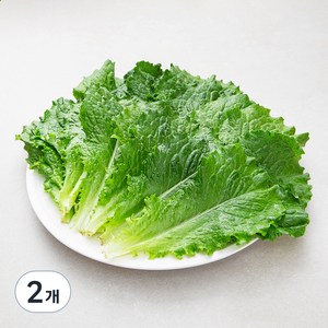 국내산 친환경 청상추, 150g, 2봉