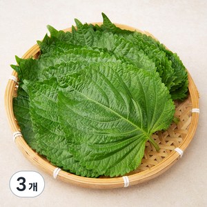 [팩] 밀양 깻잎, 100g, 3팩