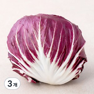 국내산 라디치오, 200g, 3개