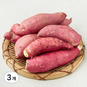 못생겨도 맛있는 꿀고구마(햇), 1.5kg, 3개