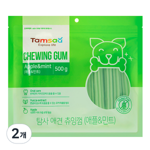 탐사 강아지 덴탈 츄잉껌 500g, 애플민트, 2개