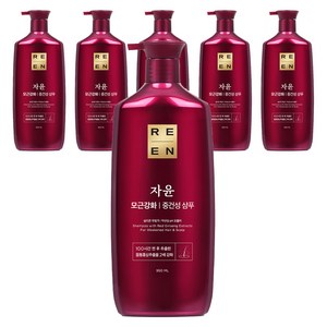 리엔 자윤 모근강화 중건성 샴푸, 950ml, 6개