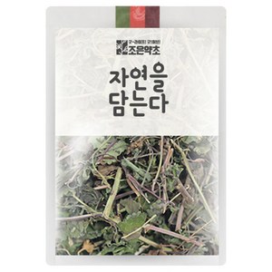 조은약초 금전초, 200g, 1개