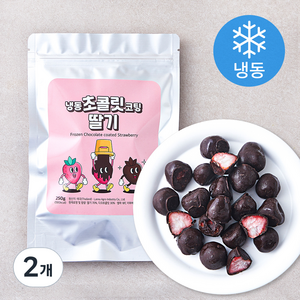 초콜릿 코팅 딸기 (냉동), 250g, 2개