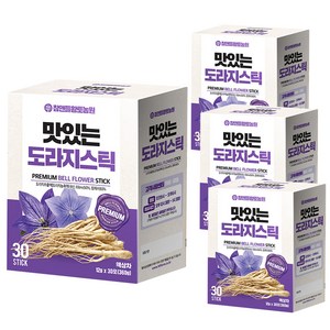 참앤들황토농원 맛있는 도라지스틱 + 쇼핑백, 12g, 120개