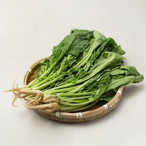 국내산 열무, 900g, 1개