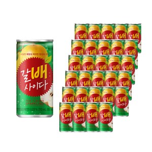 갈배사이다, 210ml, 60개