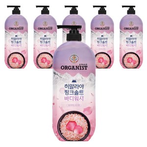 히말라야핑크솔트 풍성한 거품 산뜻한 바디워시 로즈향, 865ml, 6개