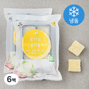 우리땅 유기가공식품 인증 다진 콜리플라워 (냉동), 100g, 6개