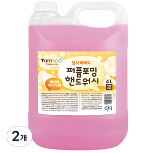 탐사베이직 퍼퓸포밍 핸드워시, 4L, 2개