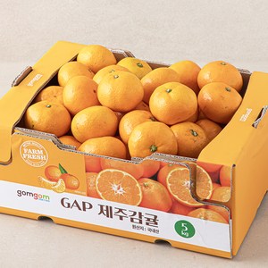 곰곰 GAP 제주 감귤, 5kg, 1개