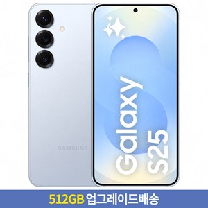 [256GB → 512GB 업그레이드] 갤럭시 S25 자급제 SM-S931N, 아이스블루, 256GB