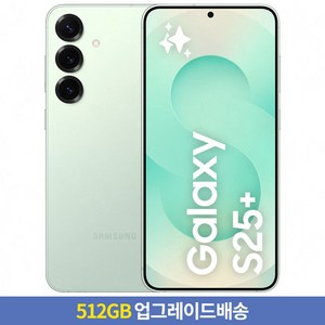 [256GB → 512GB 업그레이드] 갤럭시 S25+ 자급제 SM-S936N, 민트, 256GB