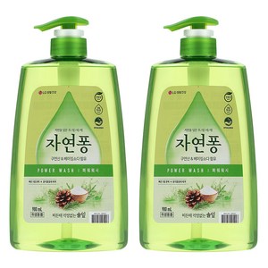 자연퐁 찌든때 걱정없는 솔잎 파워워시 주방세제 용기형, 980ml, 2개