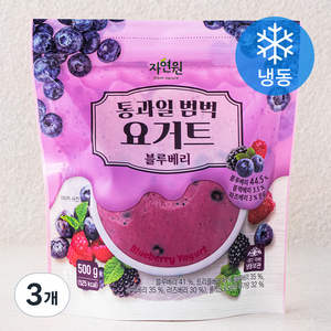 자연원 통과일 범벅 요거트 블루베리 (냉동), 500g, 3개