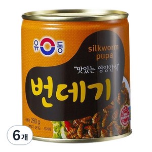 유동 번데기, 280g, 6개