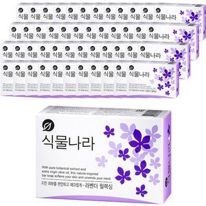 식물나라 비누 라벤더 릴랙싱, 100g, 48개