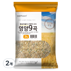 대구농산 황금비율의 간편한 조리 영양 9곡, 2kg, 2개