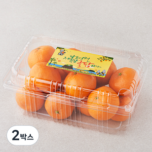 귤탐 당도선별 12bix 감귤, 1.5kg(로열과), 2박스