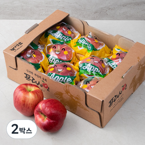 프레샤인 GAP 인증 당도선별 충주 세척 사과, 2kg, 2박스