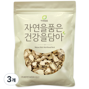 자연닮음 건생강 한차재료, 300g, 3개