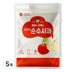 맛있는풍경 엄마가 선택한 순수사과, 5개, 30g