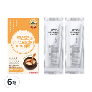 유산균 하우스 막걸리 키트, 450g, 6개